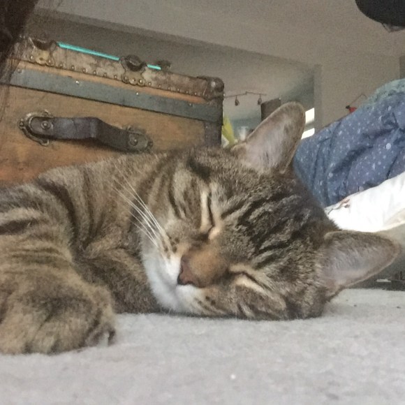 presley, PAHIFC