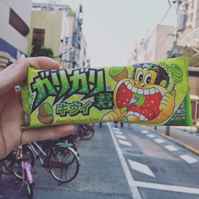 garigarikun kiwi 