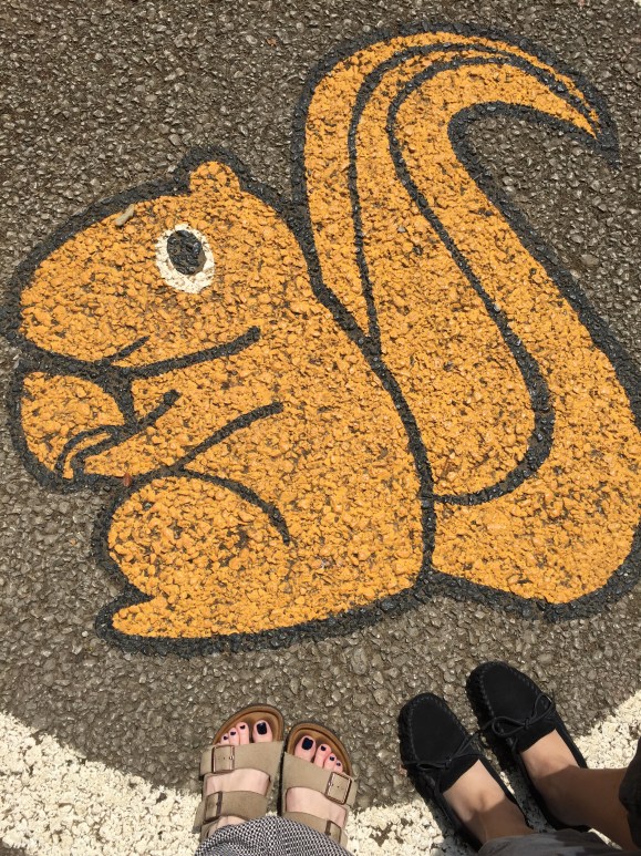 Machida Risu Park, Machida Squirrel Garden