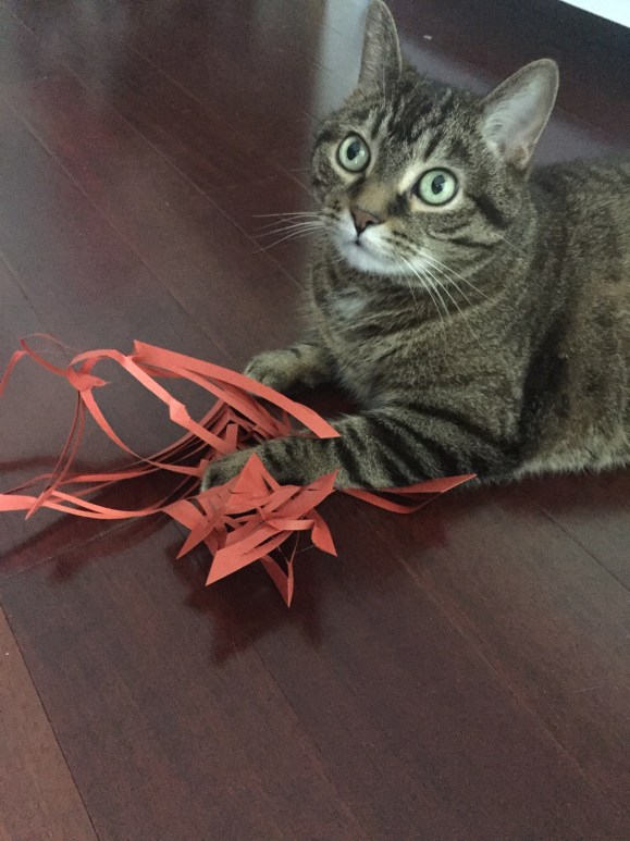 Hasegawa Tanabata 2016, decorations, origami prep