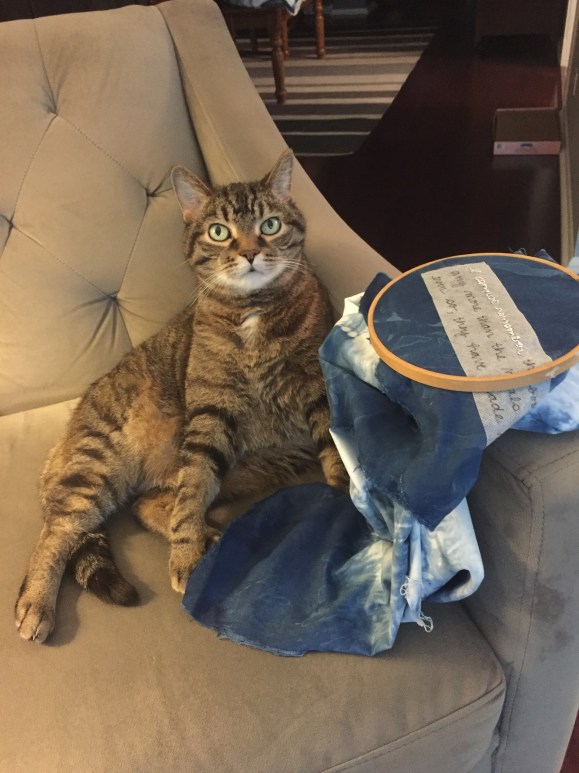 Presley with indigo dyed embroidery project