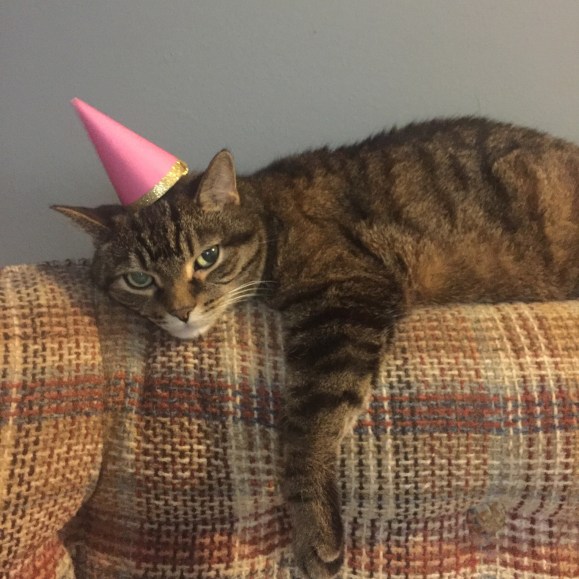 Presley in a party hat, presley turns 10