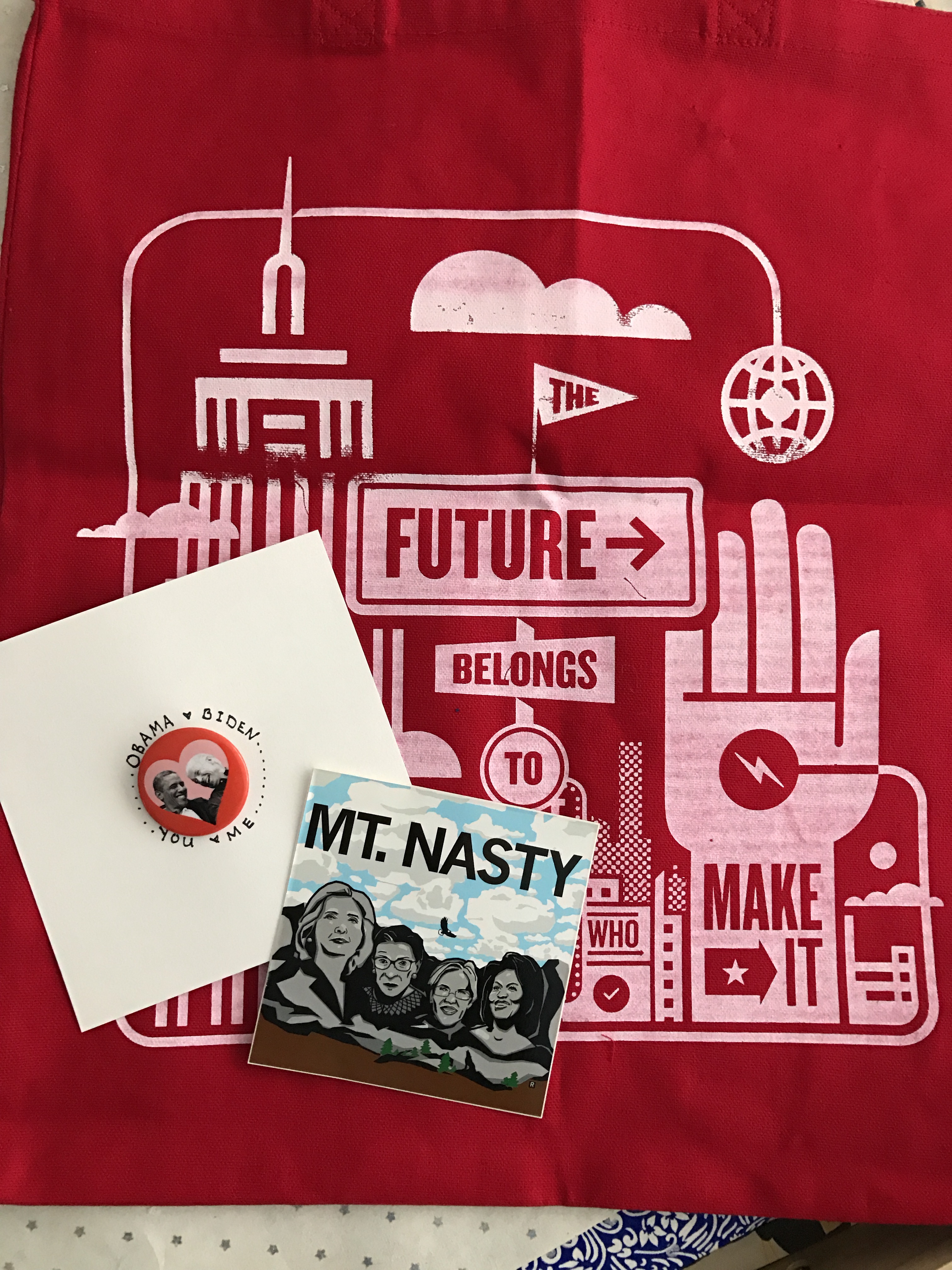 analog bag, Mt Nasty sticker, Raygun, Obama Biden love button