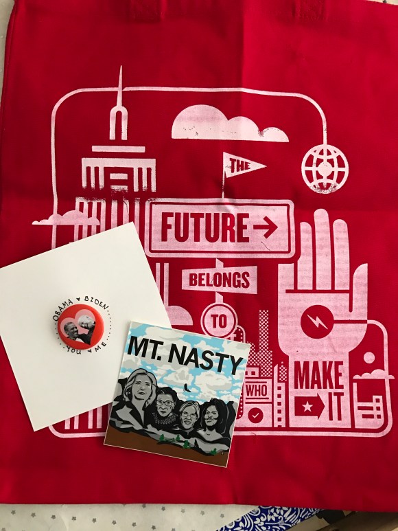 analog bag, Mt Nasty sticker, Raygun, Obama Biden love button