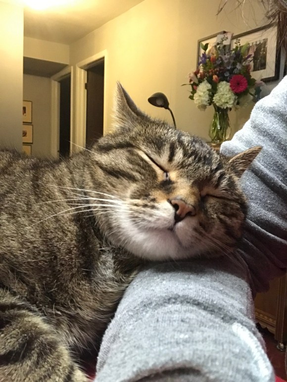 Presley rests 2