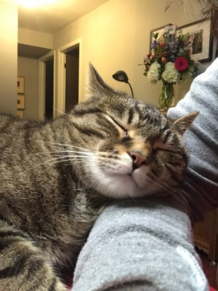Presley rests 2