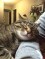 Presley rests 2