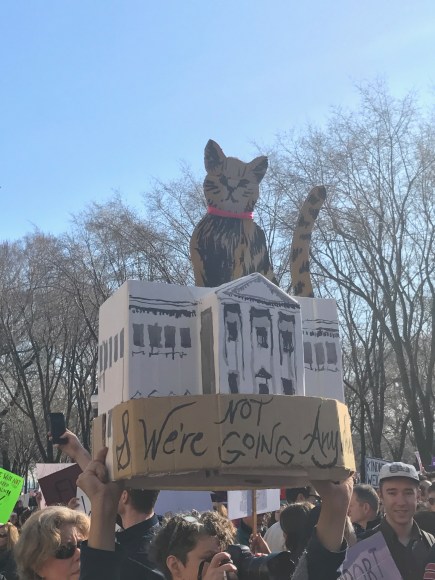 Women's March Chicago, White House Cat