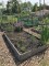 forest park community garden, plot 6, community gardening, forest&nbsp;park