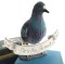 Letter Writers Alliance, RSVP mailings, Pigeon&nbsp;Mail