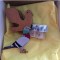 Letter Writers Alliance, RSVP mailings, Pigeon&nbsp;Mail