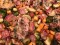 sheet pan fall vegetables and chicken thighs, Phantom Flight&nbsp;Night