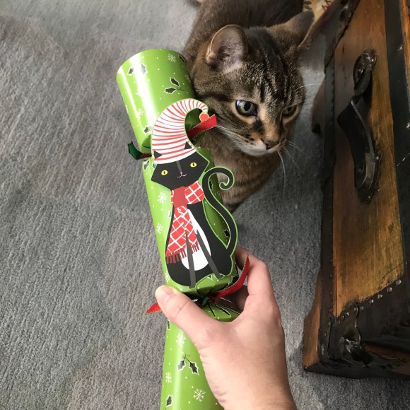 presley's gift, christmas 2017