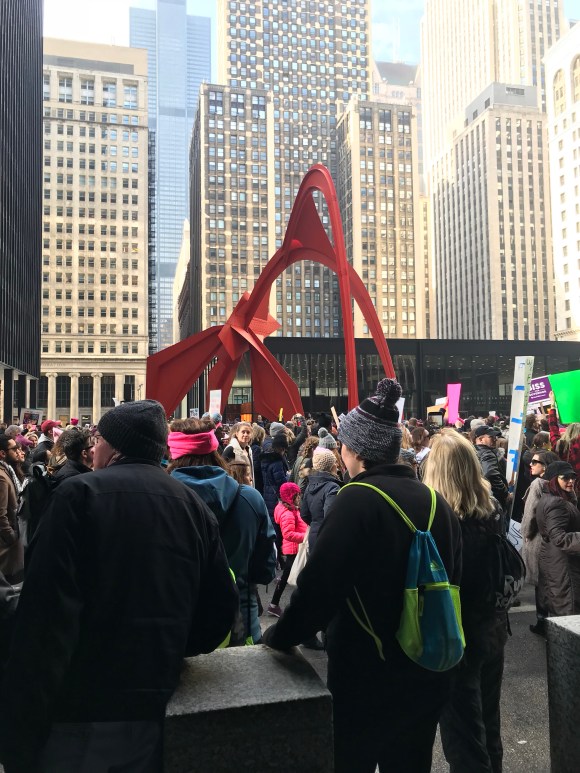 Women's March Chicago 2018, Federal Plaza Chicago