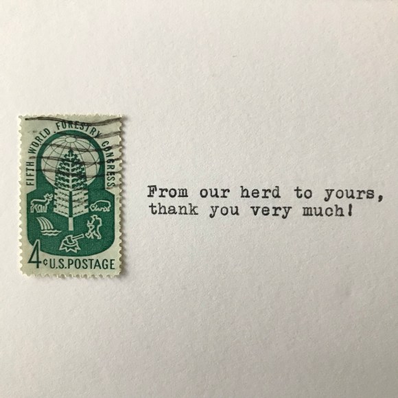 galaxie safari, vintage postage, vintage typewriter, greeting cards, buffalo 