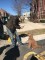 forst park community garden, forest park st patricks day parade, community garden parade float, parade&nbsp;dog