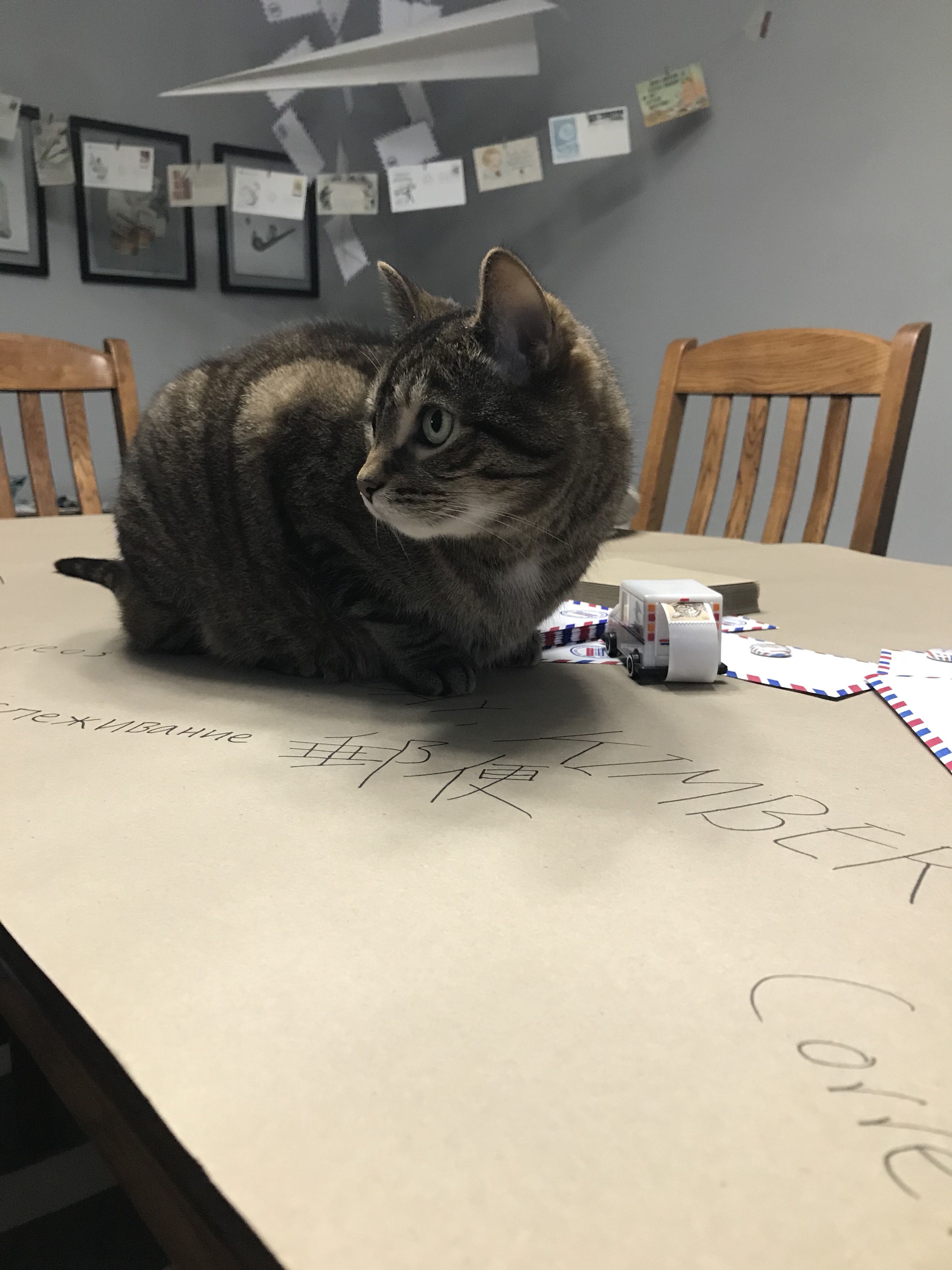 letter writing party decorations, letters & libations, paper decorations, mail decorations, kraft paper tablecloth, post office in many languages, Presley the cat, vintage stamp holder mail truck