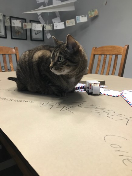 letter writing party decorations, letters & libations, paper decorations, mail decorations, kraft paper tablecloth, post office in many languages, Presley the cat, vintage stamp holder mail truck