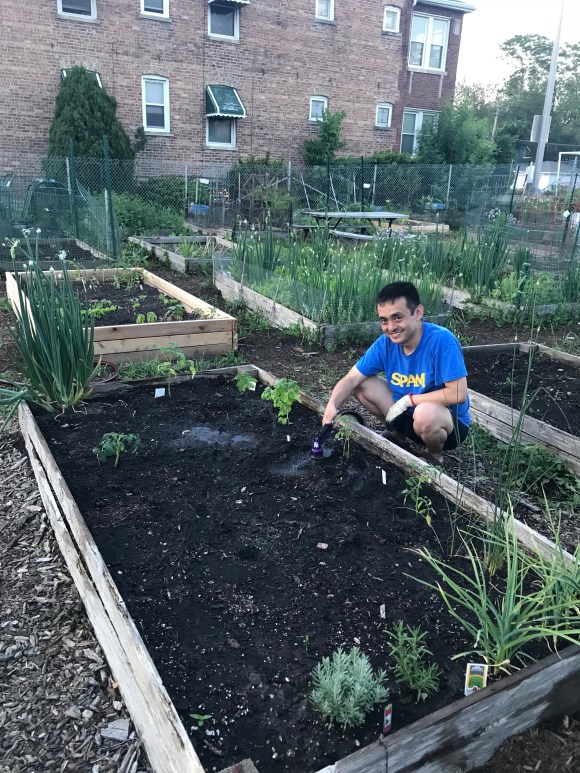 plot 6, forest park community garden, raised bed gardening, square foot garden, community garden, #plot6