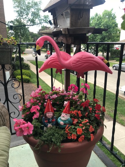 mixed pot, pink flamingoes, garden gnomes