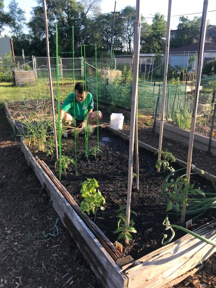 plot 6, forest park community garden, raised bed gardening, square foot garden, community garden, #plot6