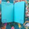 Field Notes Sweet Tooth, Field Notes Colors edition, summer passport, summer manifesto, summer bucket&nbsp;list