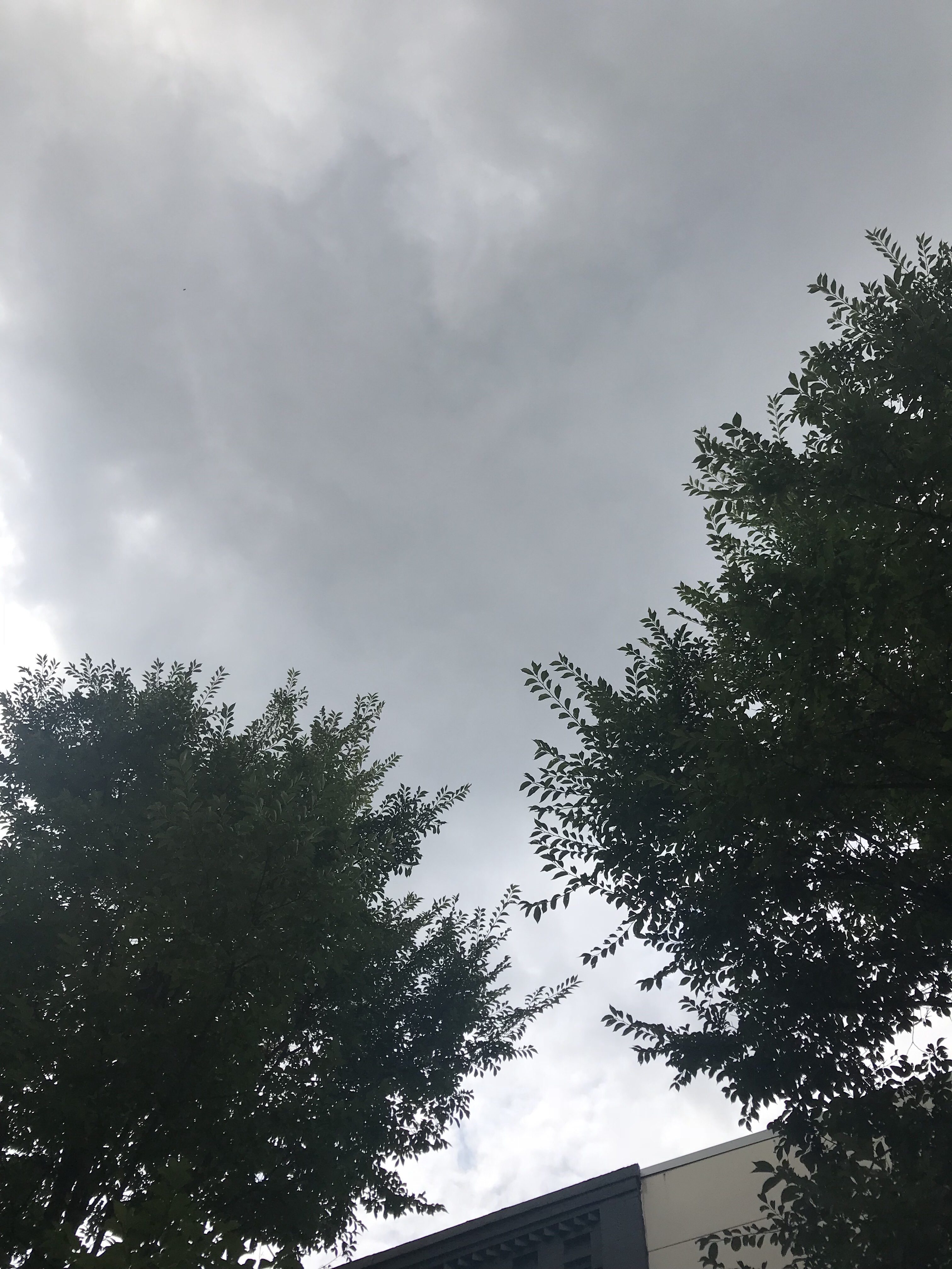 the skies above oak park during art dans la rue