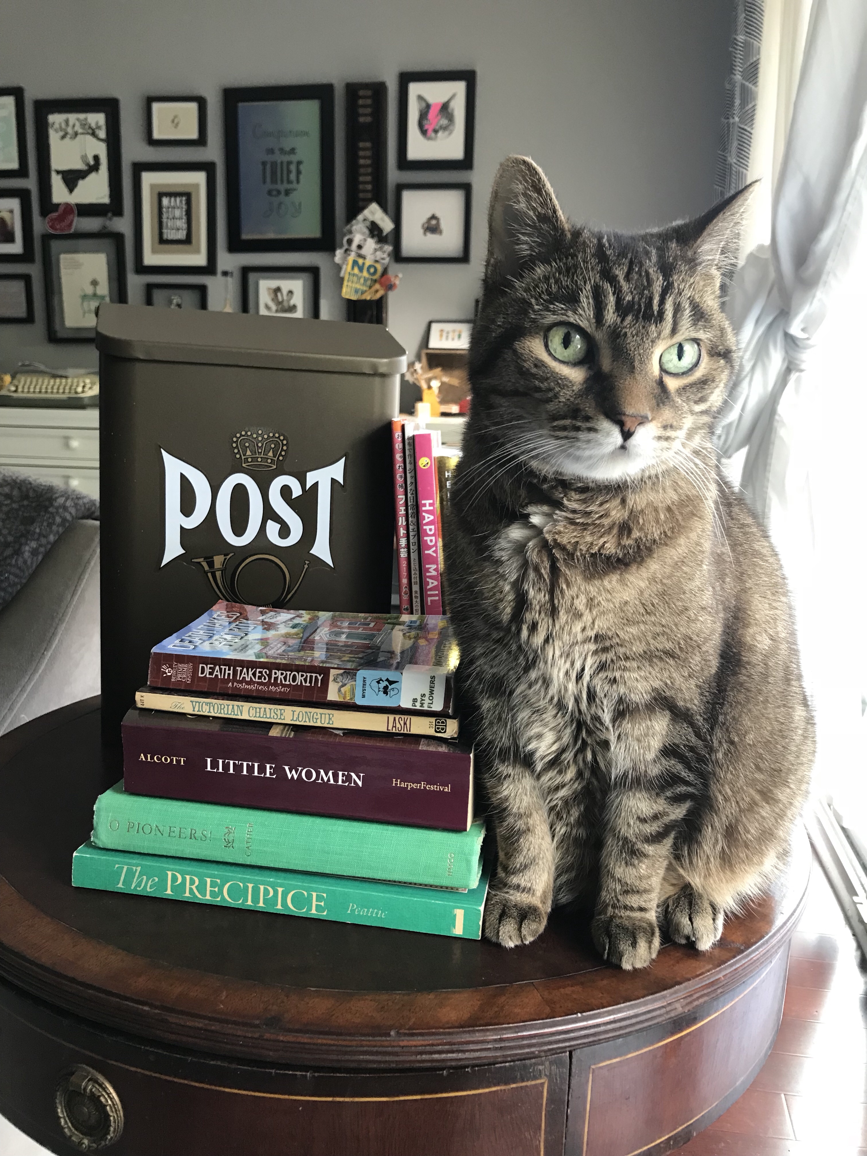 summer book report, summer reading, little women, o pioneers!, the precipice, classic literature, Presley the cat