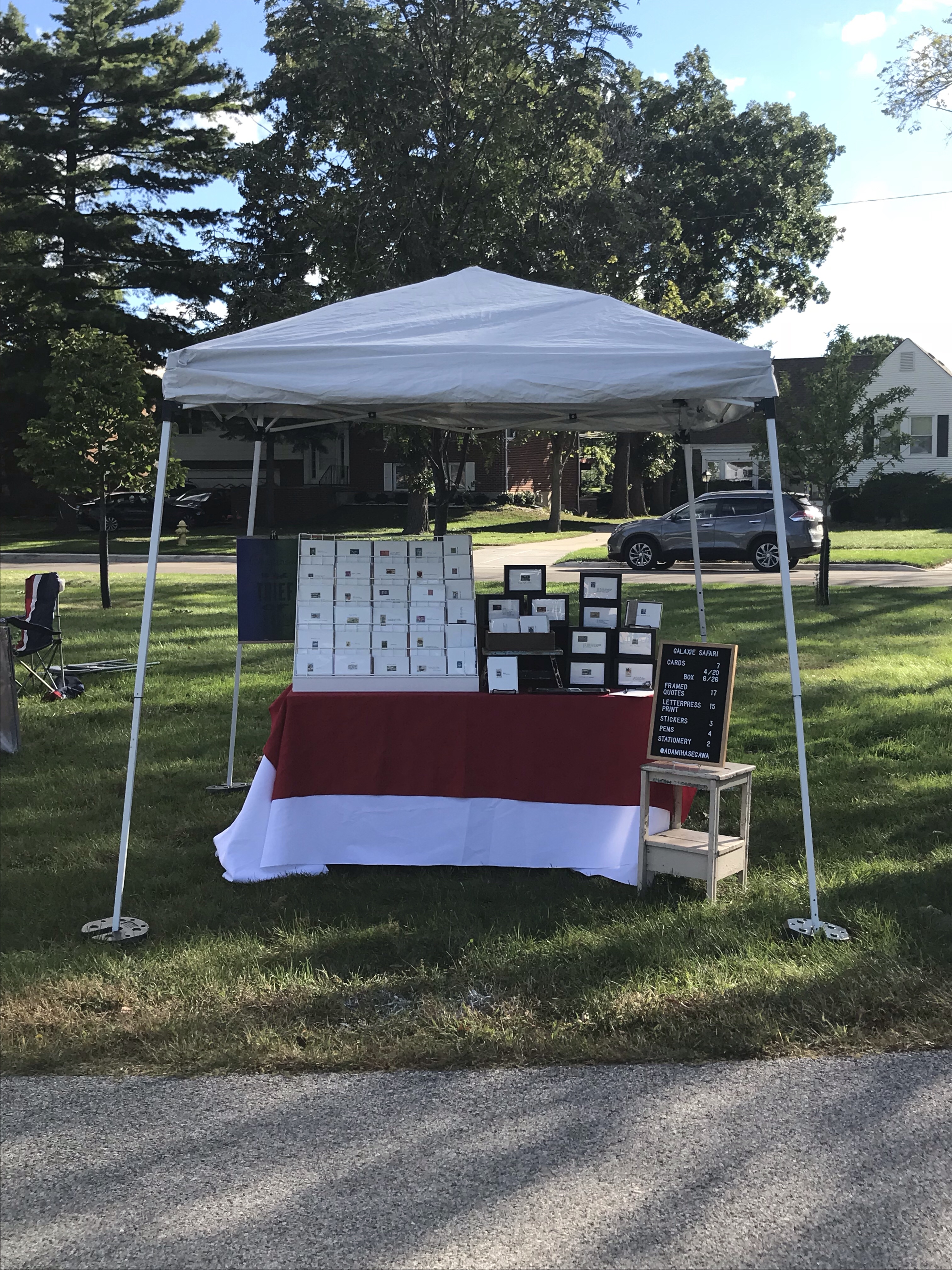 Brookfield Fine Arts Fest, Brookfield, IL, Galaxie Safari 