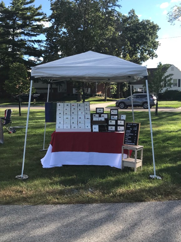 Brookfield Fine Arts Fest, Brookfield, IL, Galaxie Safari 