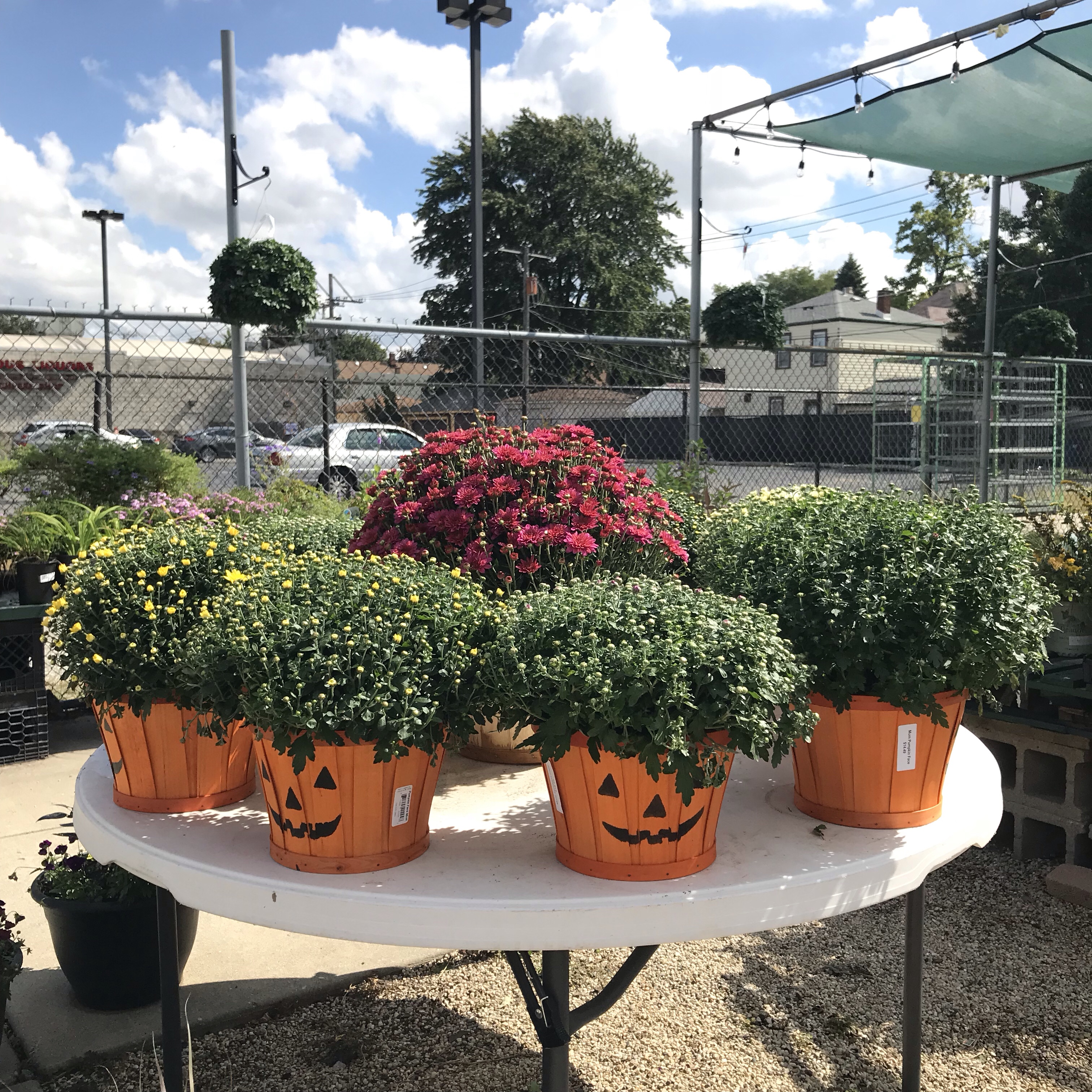 empowering gardens inc, forest park