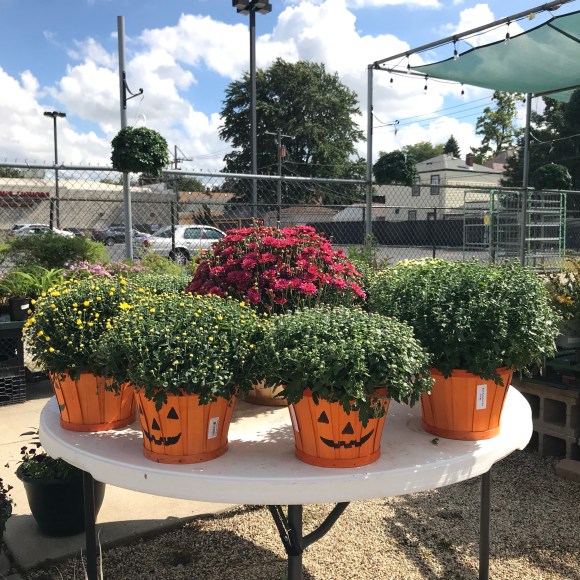 empowering gardens inc, forest park