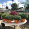 empowering gardens inc, forest&nbsp;park