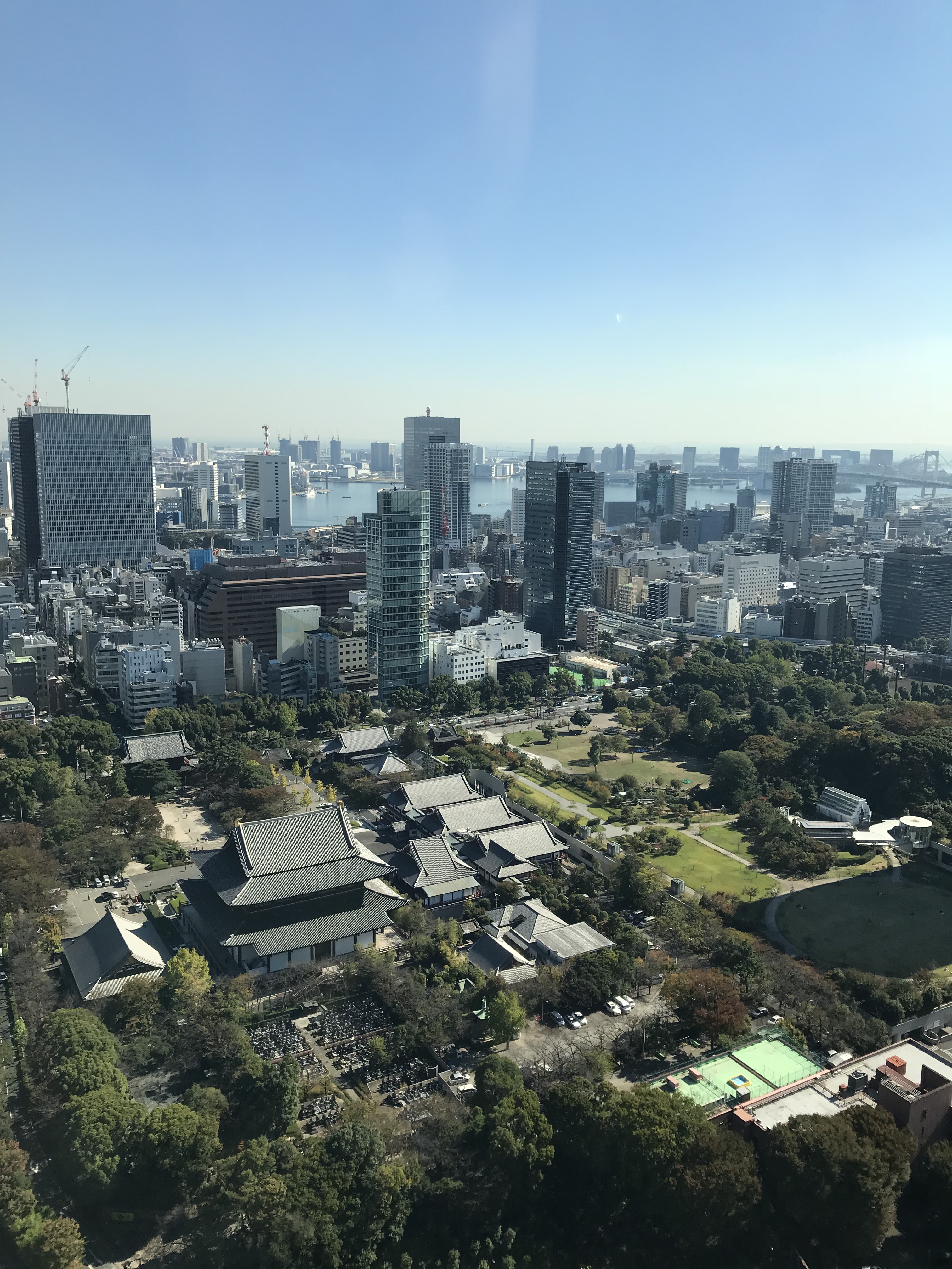 Toyko Tower, Tokyo, Japan, view