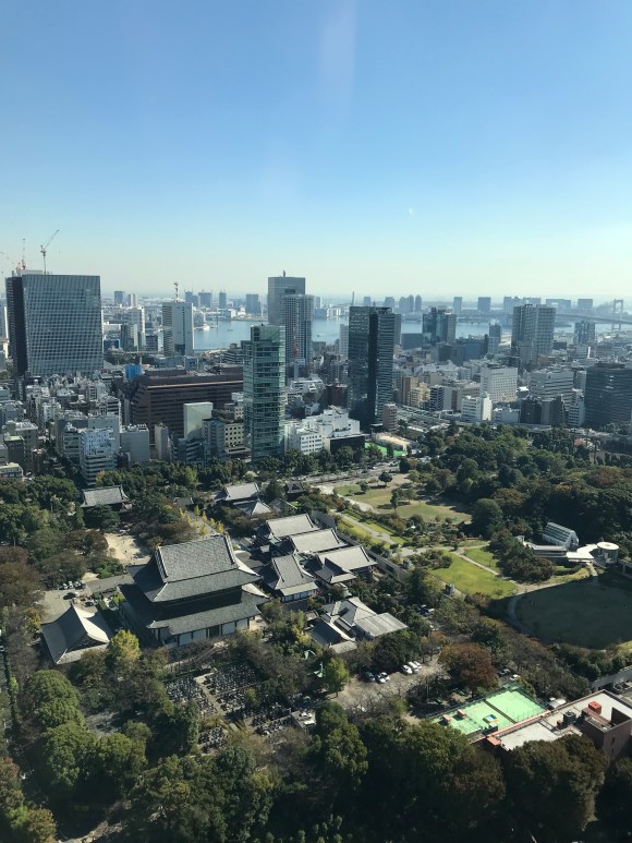Toyko Tower, Tokyo, Japan, view