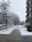 april snow, Forest Park,&nbsp;IL