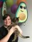 presley and me, avocado bash,&nbsp;meowmitzvah