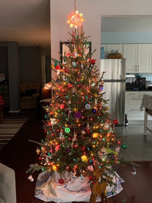 hasegawa christmas tree, christmas tree, fresh christmas tree